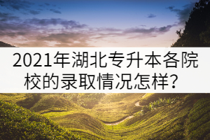 2021年湖北普通專升本各院校的錄取情況怎樣？