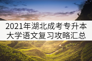 2021年湖北成人高考專升本大學(xué)語(yǔ)文復(fù)習(xí)攻略匯總