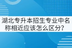 湖北專(zhuān)升本招生專(zhuān)業(yè)中名稱(chēng)相近應(yīng)該怎么區(qū)分？