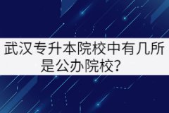武漢專升本院校中有幾所是公辦院校？