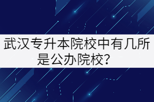 武漢專升本院校中有幾所是公辦院校？