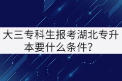 大三專(zhuān)科生報(bào)考湖北專(zhuān)升本要什么條件？