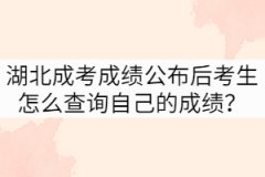 湖北成考成績(jī)公布后考生怎么查詢自己的成績(jī)？