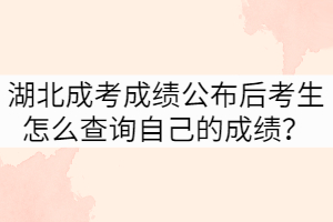 湖北成考成績公布后考生怎么查詢自己的成績？
