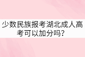 少數(shù)民族報(bào)考湖北成人高考可以加分嗎？