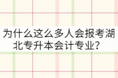 為什么這么多人會(huì)報(bào)考湖北專升本會(huì)計(jì)專業(yè)？