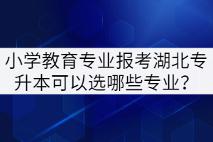 湖北專升本小學(xué)教育專業(yè)可以報考哪些對應(yīng)專業(yè)？