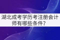 湖北成考學(xué)歷考注冊會計師有哪些條件？