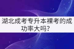 湖北成考專升本裸考的成功率大嗎？