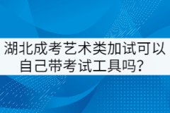 湖北成考藝術(shù)類加試可以自己帶考試工具嗎？