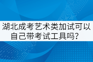 湖北成考藝術類加試可以自己帶考試工具嗎？