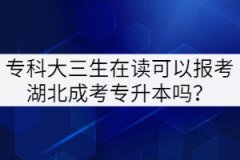 ?？拼笕谧x可以報考湖北成考專升本嗎？