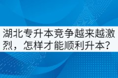 湖北專升本競爭越來越激烈，怎樣才能順利升本？