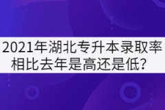 2021年湖北專升本錄取率相比去年是高還是低？