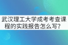 武漢理工大學(xué)成考考查課程的實(shí)踐報(bào)告怎么寫？