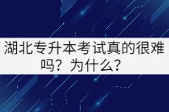 湖北專升本考試真的很難嗎？為什么？