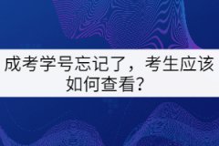 成考學(xué)號忘記了，考生應(yīng)該如何查看？