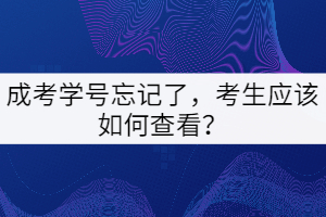 成考學(xué)號(hào)忘記了，考生應(yīng)該如何查看？