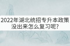 2022年湖北統(tǒng)招專升本政策沒出來怎么復(fù)習(xí)呢?