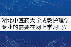 21級(jí)湖北中醫(yī)藥大學(xué)成教本科護(hù)理學(xué)專業(yè)的需要在網(wǎng)上學(xué)習(xí)嗎？