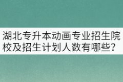 湖北專升本動畫專業(yè)招生院校及招生計劃人數(shù)有哪些？