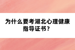 為什么要考湖北心理健康指導(dǎo)證書(shū)？