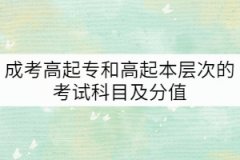 成考高起專和高起本層次的考試科目以及分值是怎樣的？
