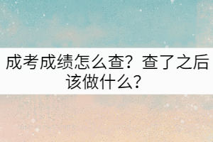 成考成績怎么查？查了之后該做什么？