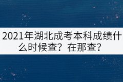 2021年湖北成考本科成績(jī)什么時(shí)候查？在那查？