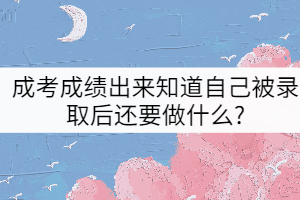 成考成績出來知道自己被錄取后還要做什么?
