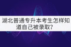 湖北普通專升本考生怎樣知道自己被錄??？