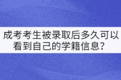 成考考生被錄取后多久可以看到自己的學(xué)籍信息？