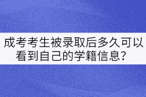 成考考生被錄取后多久可以看到自己的學籍信息？