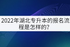 2022年湖北專升本的報名流程是怎樣的？