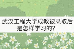 武漢工程大學(xué)成教被錄取后是怎樣學(xué)習(xí)的？