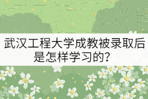 武漢工程大學(xué)成教被錄取后是怎樣學(xué)習(xí)的？