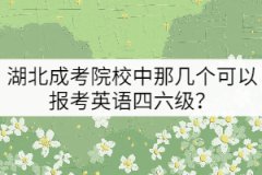 湖北成考院校中那幾個可以報考英語四六級？
