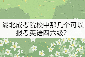 湖北成考院校中那幾個可以報考英語四六級？
