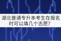 湖北普通專升本考生在報名時可以填幾個志愿？