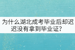 為什么湖北成考畢業(yè)后卻遲遲沒(méi)有拿到畢業(yè)證？