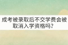 成考被錄取后不交學(xué)費會被取消入學(xué)資格嗎？