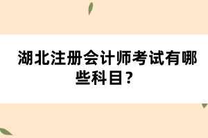湖北注冊會計師考試有哪些科目？
