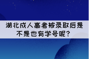 湖北成人高考被錄取后是不是也有學(xué)號呢？