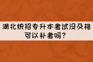 湖北統(tǒng)招專升本考試沒及格可以補考嗎？
