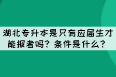 湖北專升本是只有應(yīng)屆生才能報考嗎？條件是什么？