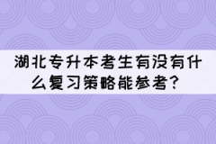 2022年湖北專升本考生有沒有什么復(fù)習(xí)策略能參考？