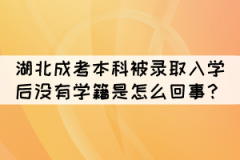 湖北成考本科被錄取入學(xué)后沒有學(xué)籍是怎么回事？