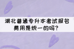 湖北普通專升本考試報名費用是統(tǒng)一的嗎？