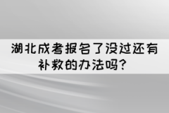 湖北成考報(bào)名了沒(méi)過(guò)還有補(bǔ)救的辦法嗎？
