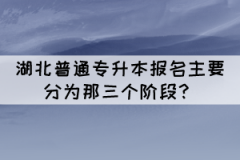 2022年湖北普通專升本報(bào)名主要分為那三個(gè)階段？